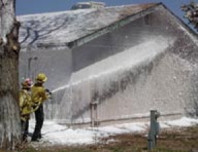 Urban Search and Rescue (USAR) team