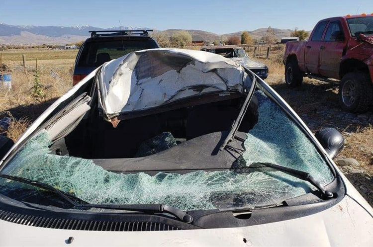 These photos are examples of damage done by hitting a giant moose in Alaska with a vehicle.