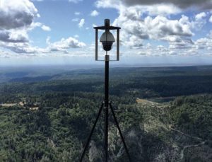 Wildland detection systems