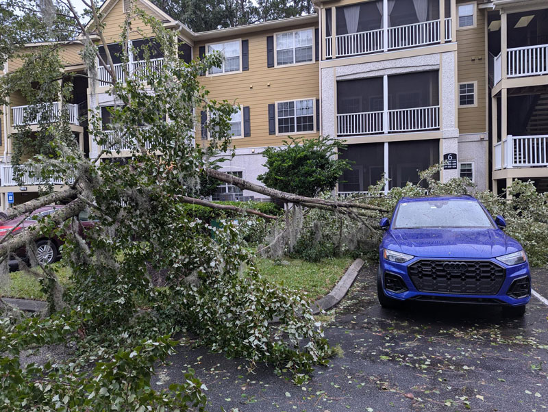 The storm reached Savannah, Georgia where it toppled trees, knocked out power and threw debris over roadways. (Photo by Jonathan Miller)